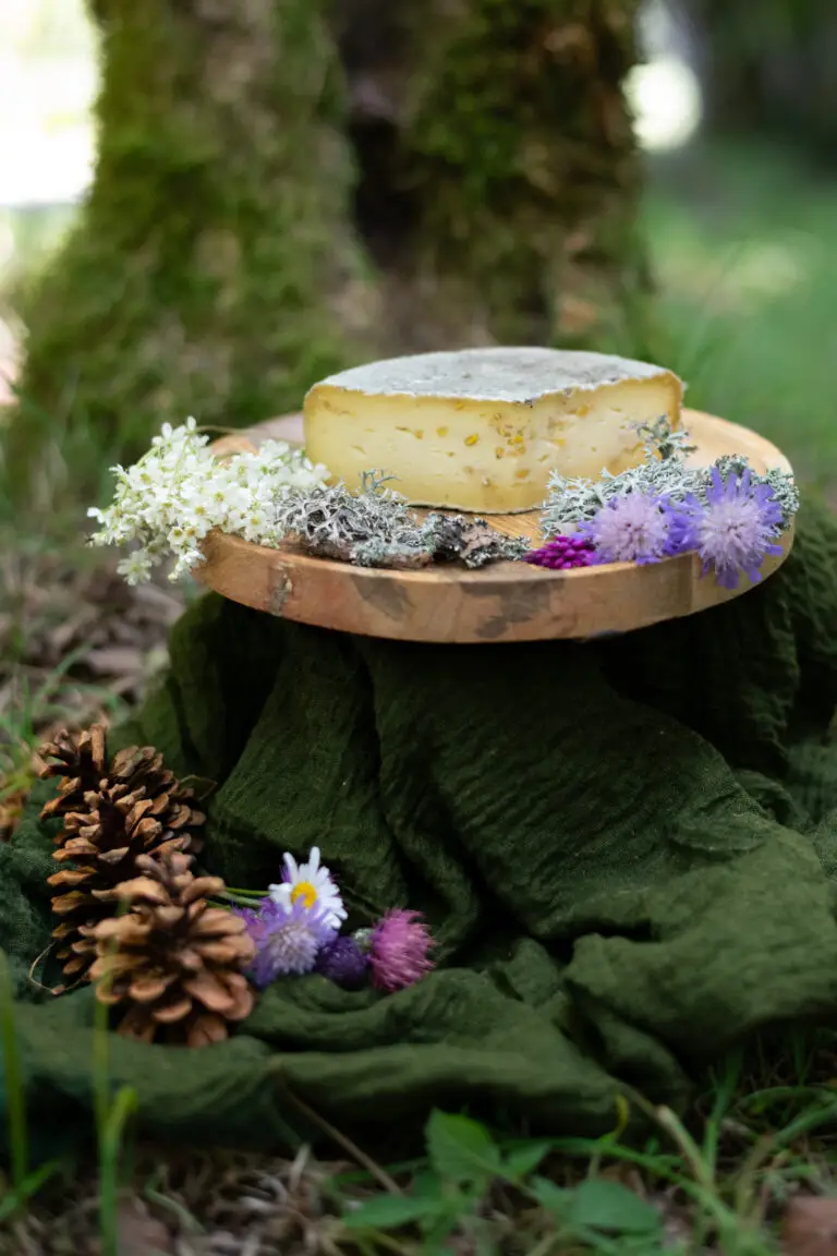 Lumière naturelle sur produit local – photographe culinaire dans la Loire