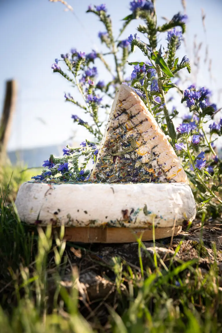 Lumière naturelle sur produit local – photographe culinaire dans la Loire